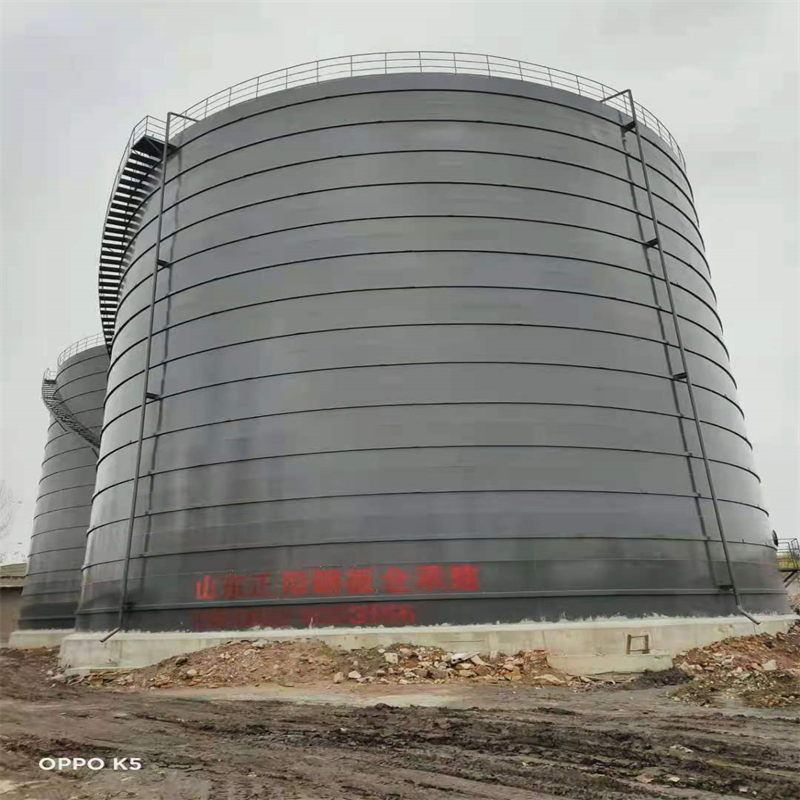 定日3万吨大型钢板库