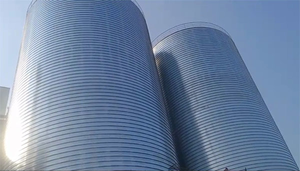 定日2座混凝土高架卷板仓